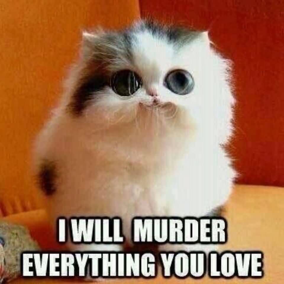 I will murder everything you love I Love You Memes Images