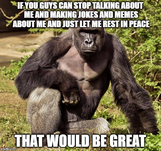 If You Guys Can Stop Talking About Me And Making Jokes Harambe Memes