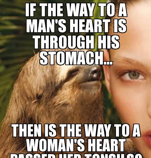 If the way to a man's heart is through his stomach Funny Sloth Memes