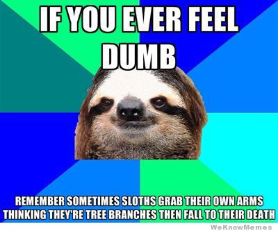 If you ever feel dumb remember sometimes sloths grab Funny Sloth Memes