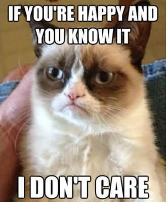If youre happy and you know it i dont care Grumpy Cat Memes Photo