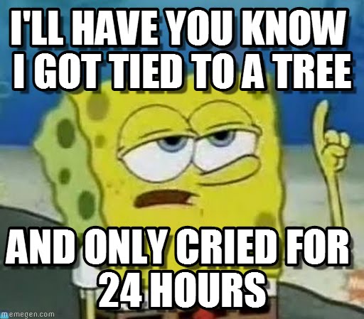 I'll have you know i got tied to a tree and only cried for 24 hours Funny Spongebob Memes
