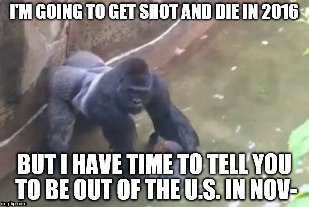 I'm Going To Get Shot And Die In 2016 Harambe Memes