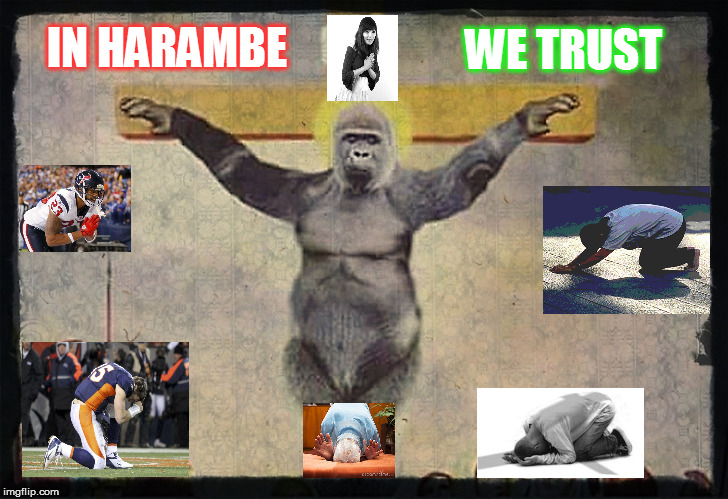 In Harambe We Trust Harambe Meme