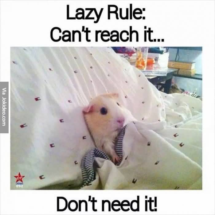 Lazy Rule Can't Reach It Funny Lazy Memes