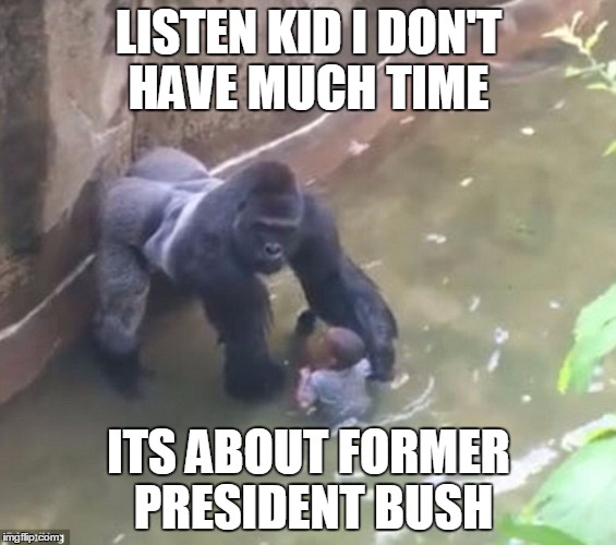 Listen Kid I Don't Have Much Time Its About Former Harambe Memes