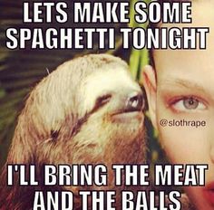 Lts make some spaghetti tonight Funny Sloth Memes