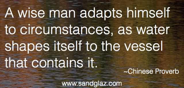 Marvelous Adaptability Quotes