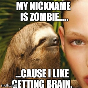 My nickname is zombie cause i like getting brain Funny Sloth Memes