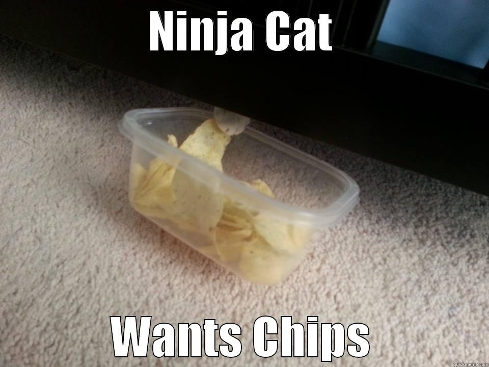 Ninja Cat Wants Chips Funny Ninja Memes Picture