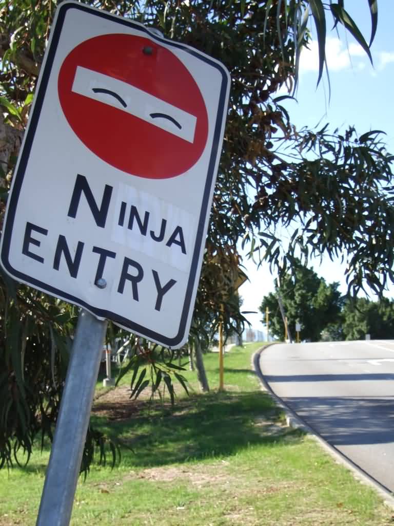 Ninja Entry Funny Ninja Memes Graphic