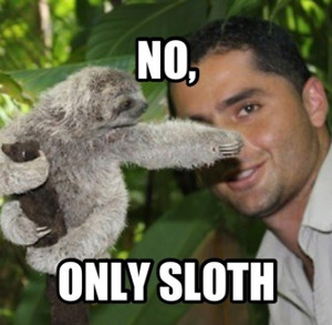 No only sloth Funny Sloth Memes