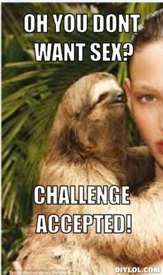 Oh you dont want sex challenge accepted Funny Sloth Wisper Memes