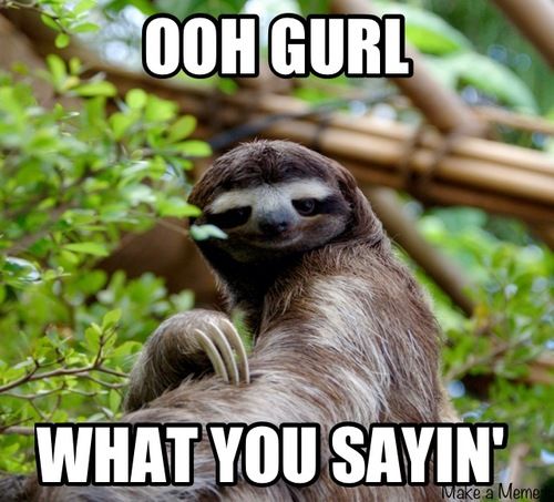 Ohh gurl what you sayin Funny Sloth Memes
