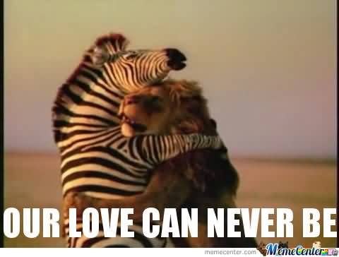 Our love can never be I Love You Memes Photos