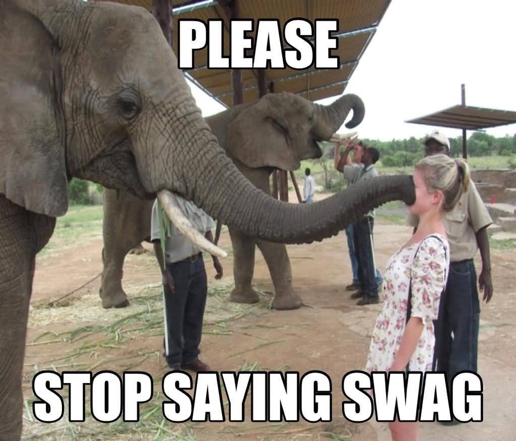 Please stop saying swag I Love You Memes Images