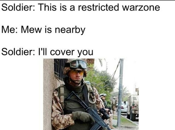 Pokemon Go Memes Soldier This Is A Restricted Warzone