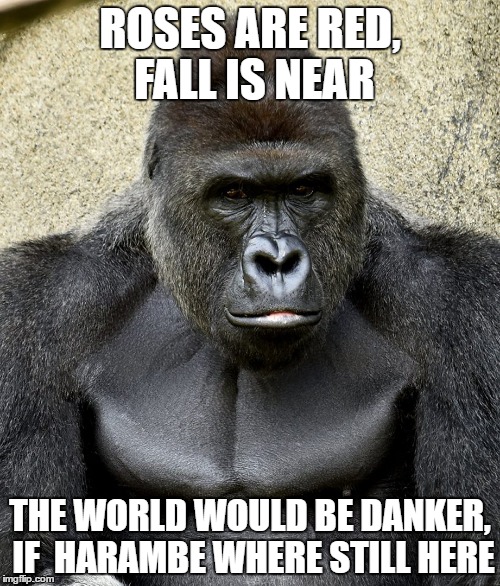 Roses Are Red Fall Is Near The World Would Be Danker Harambe Memes