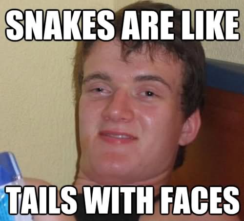 Snakes Are Like Tails With Faces Hilarious WTF Meme