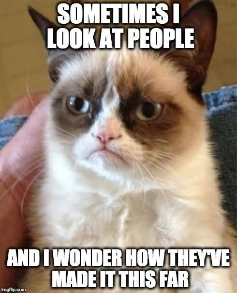 Sometimes i look at people and i wonder how theyve made it this far Grumpy Cat Memes Figure