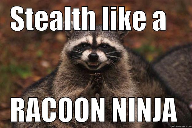 Stealth Like A Racoon Ninja Funny Ninja Memes Graphic