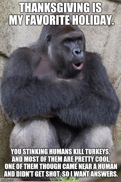 Thanksgiving Is My Favorite Holiday You Stinking Humans Kill Harambe Memes