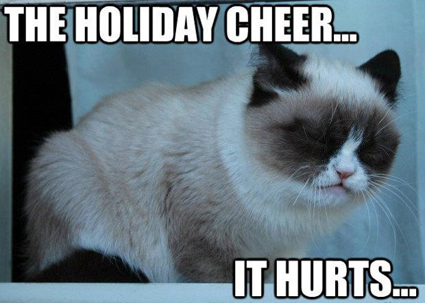 The Holiday Cheer It Hurts Grumpy Cat Meme