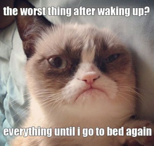 The Wrost Thing After Waking Up Everything Untill I Go To Bed Again Grumpy Cat Meme