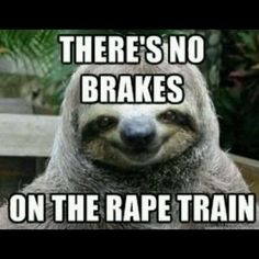 There's no brakes on the rape train Funny Sloth Wisper Memes