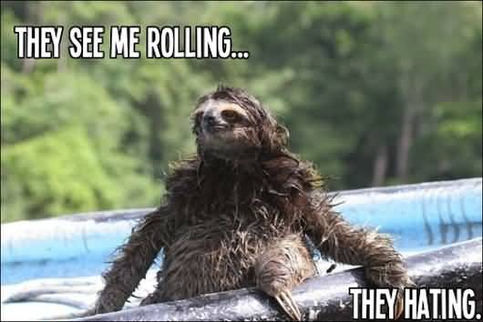 They see me rolling they hating Funny Sloth Memes
