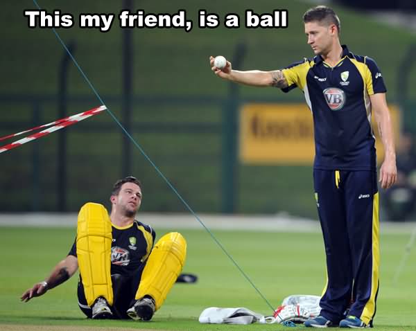 This My Friend Is A Ball Funny Lazy Memes