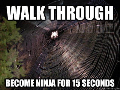 Walk Through Become Ninja For 15 Seconds Funny Ninja Memes