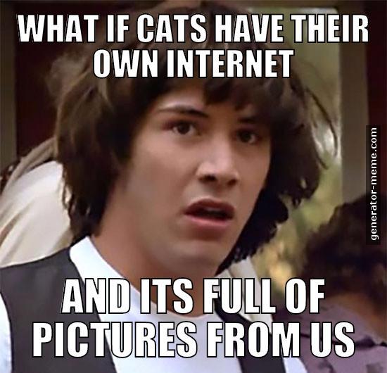 What If Cats Have Their Own Internet Memes