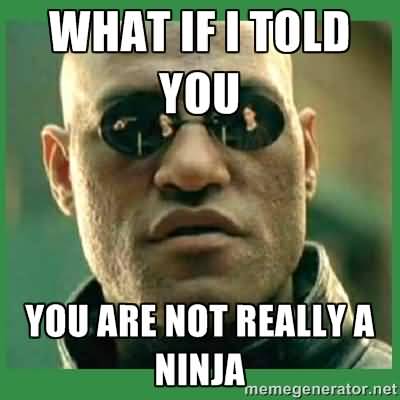 What If i Told You You Are Not Really A Ninja Funny Ninja Memes