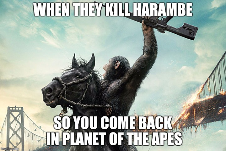 When Thay Kill Harambe So You Come Back In Planet Of The Apes Harambe Memes