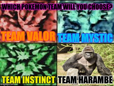 Which Pokemon Team Will You Choose Team Valor Team Mystic Harambe Memes