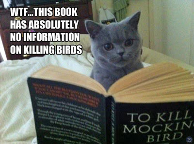 Wtf This Book Has Absolutely No Information On Killing Birds Hilarious WTF Meme