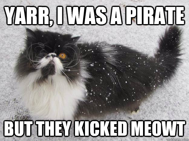 Yarr I Was A Pirate But They Kicked Meowt Grumpy Cat Memes Wallpaper