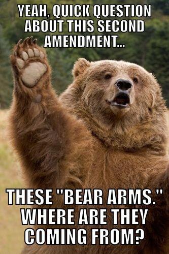 Yeah quick question about this second amendment Love Memes