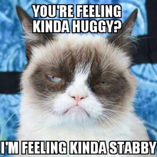 You Are Feeling Kinda Huggy I Am Feeling Kinda Stabby Grumpy Cat Memes Snap