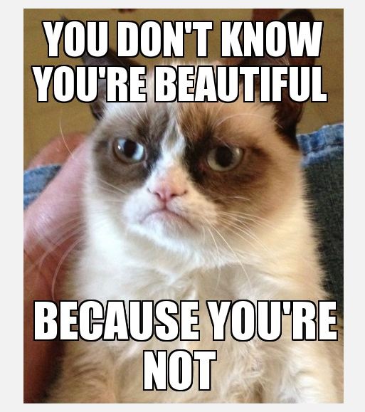 You Dont Know You Are Beautiful Because You Are Not Grumpy Cat Meme