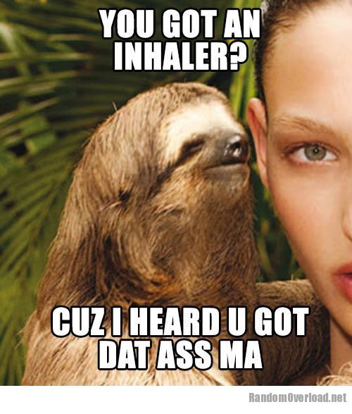 You got an inhaler cuz i heard u got dat ass ma Funny Sloth Memes