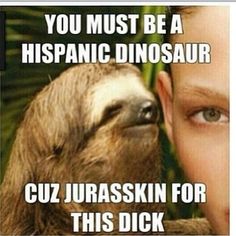 You must be a hispanic dinosaur cuz jurasskin for this dick Funny Sloth Memes