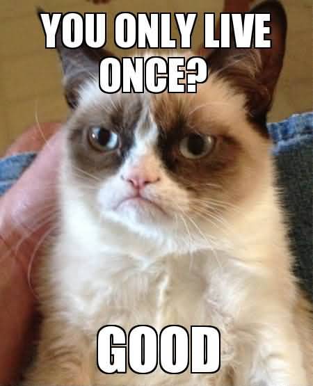 You only live once good Grumpy Cat Memes Photo