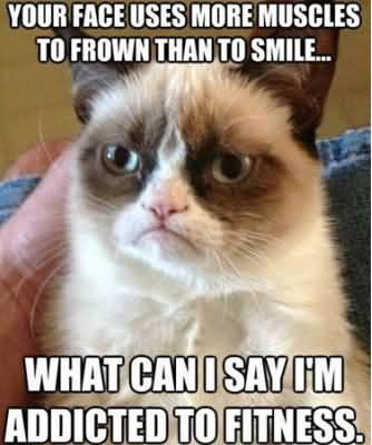 Your face uses more muscles to frown than to smile what can i say im addicted to fitness Grumpy Cat Memes Image