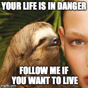 Your life is in danger follow me if you want to live Funny Sloth Wisper Memes