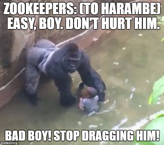 Zookeepers To Harambe Easy, Boy. Don't Hurt Him Harambe Meme