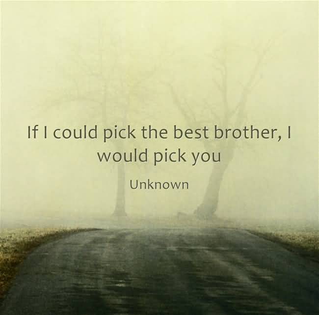 If I Could Pick Brother Quotes