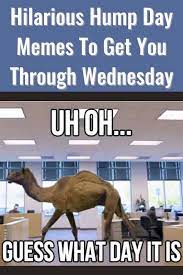 Hilarious Hump Day Memes To Get