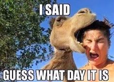 I Said Guess What Day It Is